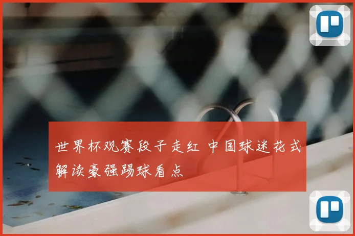 世界杯观赛段子走红 中国球迷花式解读豪强踢球看点