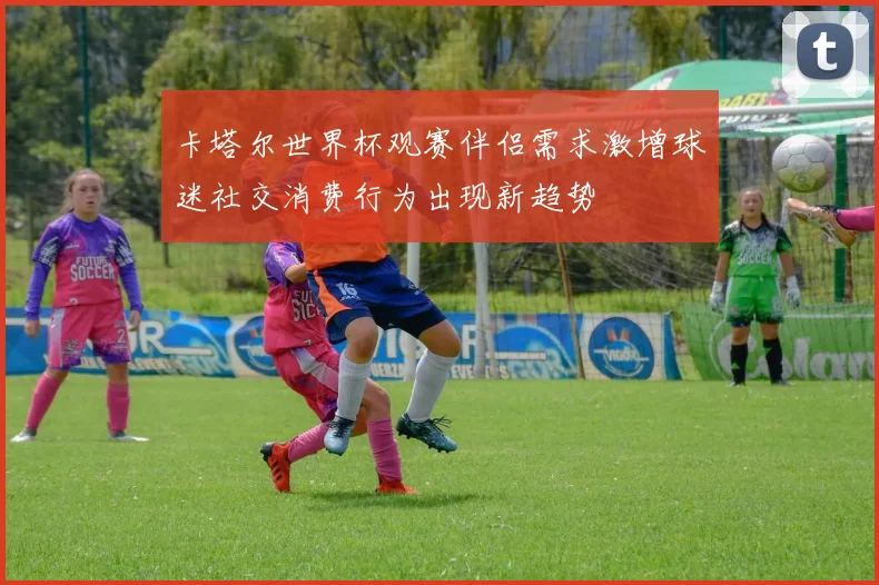 卡塔尔世界杯观赛伴侣需求激增球迷社交消费行为出现新趋势